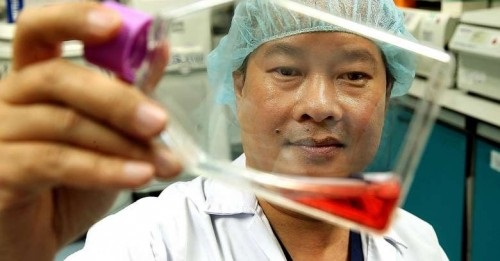 Bác sĩ Phan Toàn Thắng vừa được tờ The Straits Times của Singapore vinh danh là cha đẻ của công trình nghiên cứu về từ màng dây rốn.