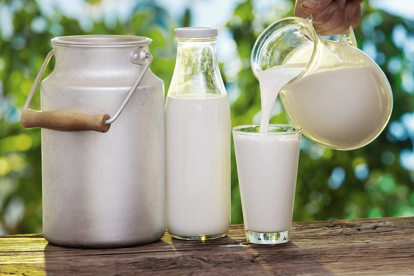 Mặt nạ sữa non nguyên chất rất an toàn nên thích hợp sử dụng cho mọi loại da mà không gây kích ứng.