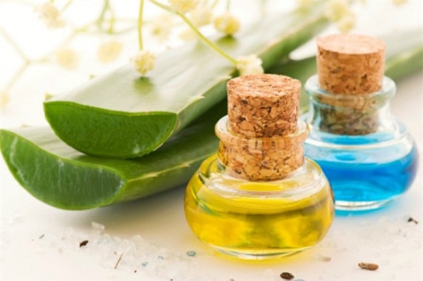 Phương pháp trị rạn da từ dầu thầu dầu và gel nha đam được các chị em áp dụng rất phổ biến.