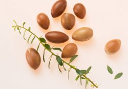 Bí kíp vàng giúp da đẹp hoàn hảo với “vàng lỏng” – dầu argan